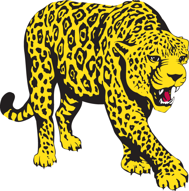 South Alabama Jaguars 1993-2007 Partial Logo v3 DIY iron on transfer (heat transfer)